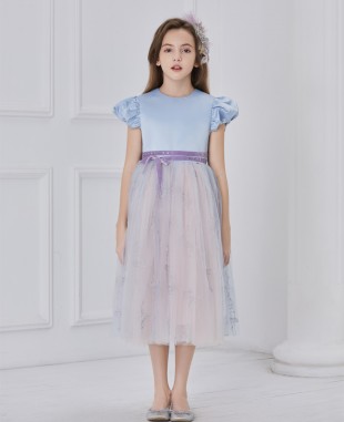 淡蓝色缎面芭蕾舞刺绣紫色绒布腰带长款连衣裙公主裙