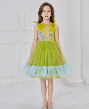 黄绿色蕾丝刺绣芭蕾舞网纱连衣裙公主裙